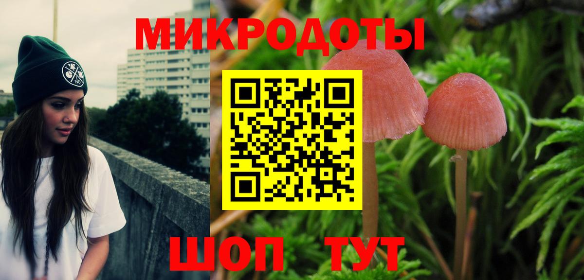 Псилоцибиновые грибы мицелий Апатиты